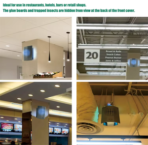 Piège à mouches <span class=keywords><strong>professionnel</strong></span> certifié pour la lutte antiparasitaire, anti-sabotage, pour la vente en gros - Product Image 6