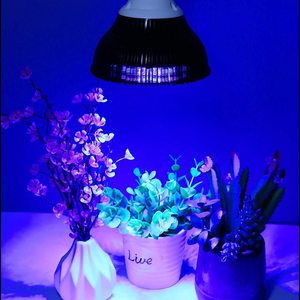 E27 Ampoule Corail Plantes Aquatiques Fishbowl Grow Led Grow Light Led Plant Grow Bulb Light Grow Lights for Fish or Plant - Product Image 3