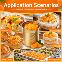 Segmen Jeruk Mandarin Awet 850g dalam Sirup Ringan untuk Katering Dessert Ukuran Kustom Pemasok Pabrik Grosir