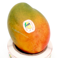 Étiquettes thermiques durables, autocollants personnalisés pour l'emballage d'expédition, étiquettes adhésives transparentes pour l'emballage des fruits