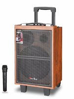 Sistem PA Metal Berdaya Tinggi dengan Mic UHF, USB/TF Card, Radio FM, Woofer 8-inci, Baterai Isi Ulang untuk Karaoke & Acara