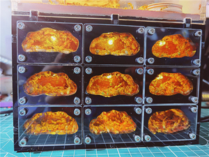 Atelier de fourmis pour animaux de compagnie Cage d'élevage Nid de fourmis vivantes Nid de sable acrylique Maison Villa <span class=keywords><strong>Palace</strong></span> - Product Image 3