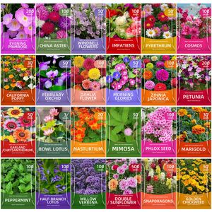 Graines de fleurs et d'herbes pour le jardinage et la floraison, personnalisation transfrontalière, emballage coloré de style international, commerce extérieur - Product Image 2