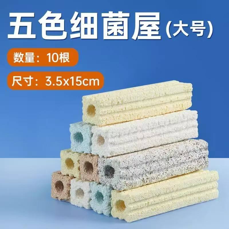 Large Pack of 10 Multicolored Bacteria Houses