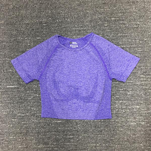 Conjunto Deportivo de Yoga, Suministro Directo de Fábrica, Ropa Deportiva de la Mejor Calidad, Top Corto sin Costuras - Product Image 2