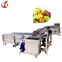 Surfing Bubble Groentewasmachine Continue fruitwasmachine voor groenteverwerkingslijn