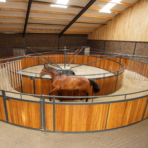 맞춤형 Pvc 또는 대나무 보드 승마 말 워커 지붕 옵션 4-10 말 용량 워커 기계 - Product Image 2