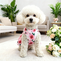 Neue Frühlings- und Sommer-Elegante Polyester Gestreifte Freizeit-Hundekleider, Beliebt und Niedlich