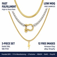Colliers et Chaînes de Mode en Acier Inoxydable Plaqué Or 18K, Étanche et Anti-ternissement, Prêts à l'Expédition en Gros