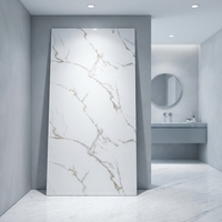 Panneaux en PVC marbré modernes à haute brillance et imperméables pour la décoration murale intérieure ; Panneaux imprimés en 3D pour usage commercial et domestique