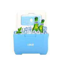 Glacière isotherme portable vintage en plastique rigide pour pique-nique, poisson et glace, 5L, accessoires de camping