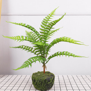 Qihao Plantes artificielles de type fougère, verdure décorative d'intérieur, emballage individuel, haute simulation - Product Image 2