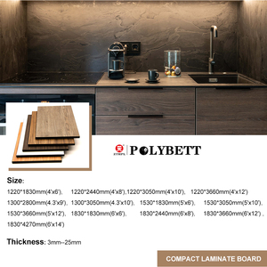<span class=keywords><strong>Panel</strong></span> Laminado Fenólico HPL de 3-25 mm de Espesor, Acabado Brillante con Diseño de <span class=keywords><strong>Madera</strong></span>/Piedra, Resistente al Agua y al Fuego para Construcción - Product Image 6
