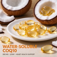 Coenzyme Q10 hydrosoluble en gélules souples, formule de soutien énergétique cellulaire, OEM ODM, marque privée, pour autres compléments de santé