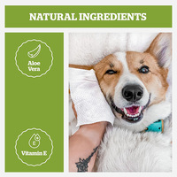 Lingettes pour animaux de compagnie OEM, lingettes nettoyantes pour chiens et chats avec logo personnalisé, sans alcool, hypoallergéniques, résistantes à la léchage, biodégradables pour le toilettage