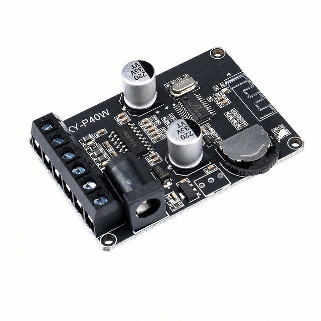 30W/40W Stereo  5.0 Amplifier Board 12V/24V High Power Digital Amplifier Module for Speaker