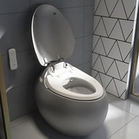 Vente chaude Articles sanitaires pour hôtels WC monobloc Bidet électrique Cuvette de WC à poser au sol Salle de bain WC intelligent