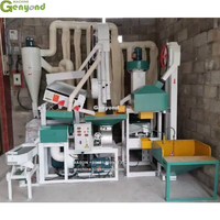 Fraiseuse à riz entièrement automatique Ensemble complet de moulin à riz combiné pour le Nigeria