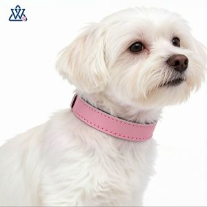 Collier pour animaux de compagnie en cuir véritable, couleur unie, réglable pour petits chiens et chats, toutes saisons, style simple - Product Image 1