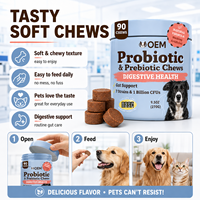 Friandises à mâcher probiotiques et prébiotiques pour chiens et chats, soutien digestif, santé intestinale, supplément, friandises molles, nutrition animale, fabricant OEM