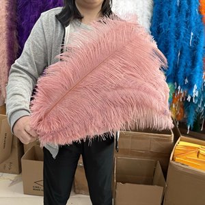 <span class=keywords><strong>Plumas</strong></span> <span class=keywords><strong>de</strong></span> avestruz grandes largas naturales <span class=keywords><strong>de</strong></span> 60-65cm al por mayor para boda, fiesta, comedor, mesa, centro, jarrón, decoración, lámpara <span class=keywords><strong>de</strong></span> casa, pluma - Product Image 2