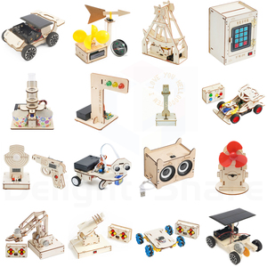 Tự Làm Lắp Ráp Thân Cây Đồ Chơi Handmade Giáo Dục Đồ Chơi Trường Vật Lý Dự Án Thí Nghiệm Khoa Học Kit Gốc Bộ Dụng Cụ Cho Trẻ Em - Product Image 1