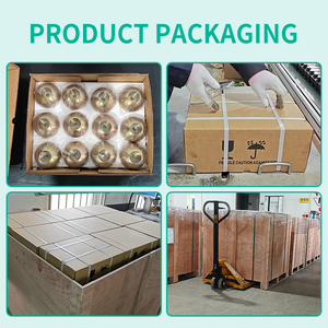 2.5T incavo magnetico in acciaio con perno di sollevamento di ancoraggio per l'industria del calcestruzzo prefabbricato - Product Image 6