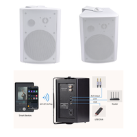 Altavoz de Pared Multiroom con WIFI, BT y Airplay, Sistema de Sonido de 100W para Hoteles, Escuelas y Oficinas