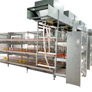 Thiết bị chăn nuôi mới lồng gà trứng hình chữ H với băng tải và lồng chọn và cho ăn trứng tự động - Product Image 5