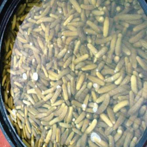 Concombres marinés / cornichons en vinaigre - Product Image 1