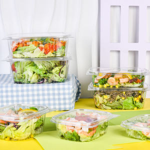 للبيع بالجملة علبة تغليف مستطيلة على شكل صدفي للحيوانات الأليفة - Product Image 3