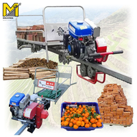Vehículo de Transporte Monorraíl para Jardines de Té Agrícolas, Tren de Transporte Agrícola Monorraíl