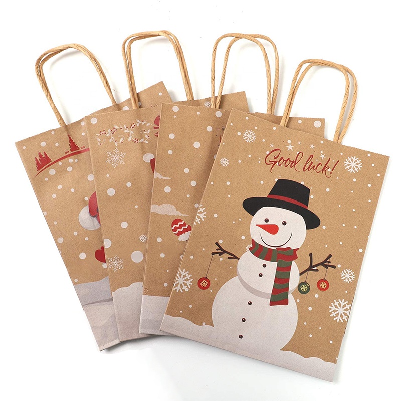 kraft bags for books
