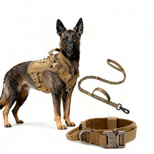 ชุดสายจูงสุนัขแบบปรับได้ FENGRAD สำหรับฝึกสุนัข  พร้อมปลอกคอและสายจูง  ทนทาน  มีหูจับสำหรับสุนัขขนาดใหญ่  มีขนาดเล็ก กลาง และใหญ่ - Product Image 1