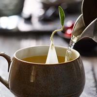 Tea Forte Petite Boîte de présentation aux herbes assorties Coffret cadeau pour thé