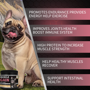 Ganancia muscular Masticables suaves de alta proteína con L-carnitina y vitamina D3 para perros Desarrollo muscular y recuperación Construcción de masa corporal - Product Image 3