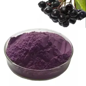 Offres Spéciales Aronia Melanocarpa Elliot Poudre Hokkaido Aronia Poudre Pour Faire Du Jus D'aronia