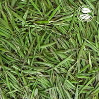 Thé vert naturel en forme d'aiguilles Clqq 1043 5g, cueilli à la main, qualité Kif, pour le marché saoudien