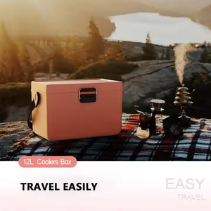 Mini Portable 12L En Plastique Camping En Plein Air Dur Glace Poitrine Glacière Boîte Ensemble Logo Moderne PP Compresseur Vin Alimentaire Boîtes 30L 40L 50L 60L - Product Image 5