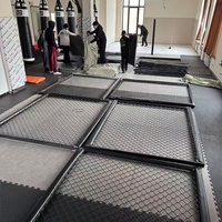 Équipement d'entraînement de boxe MMA de haute qualité, personnalisé et professionnel, cage octogonale pour salle de sport