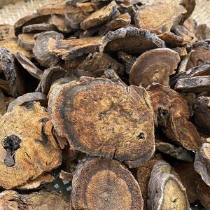 卸売新鲜なルバーブルバーブ粉末ルバーブスライスと薬草のバルク大量と良い価格ホースシューイエロー - Product Image 4