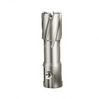 Foret annulaire magnétique SUNJOY 2 pouces en carbure de tungstène TCT, queue Weldon, pour perçage de l'acier, sable blanc