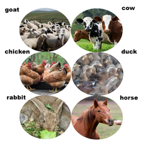 Machine Offre Spéciale de coupeur de paille avec l'alimentation des animaux de vache et de moutons de moteur diesel/électrique