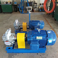 Pompe à engrenages en acier inoxydable personnalisable KCB 304/316, pompe d'extraction d'huile, roulement de moteur, 1 an, équipement de machines industrielles