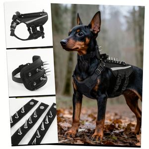 Nouveau Gilet Réfléchissant Robuste pour Chien avec Poignée, Protection Anti-Hibou pour Chiots, Gilet Imperméable en Nylon à Pointes Style Punk pour Chien - Product Image 2
