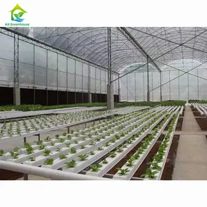 Kit completo de invernadero de granjas de tomate de plástico de túnel de polietileno profesional con sistema de riego