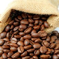 Granos de café Robusta vietnamita orgánico certificado Grado Premium Tostado ligero a granel Fuerte cafeinado Servicio OEM Estándar de exportación