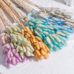 Fleurs séchées en gros, herbe de queue de lapin (<span class=keywords><strong>Lagurus</strong></span>), 60 tiges par bouquet, Fête des Mères, Noël, longue durée (3-5 ans), Yunnan - Product Image 1