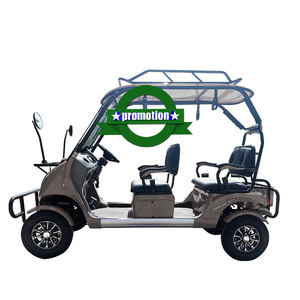 Carrito de Golf Eléctrico Cengo Pequeño Mini Motor de 2500W 30-50km/h 3-4 Plazas en Venta - Product Image 5