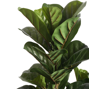 <span class=keywords><strong>Plantas</strong></span> Artificiales <span class=keywords><strong>de</strong></span> Plástico <span class=keywords><strong>Grandes</strong></span> para Decoración, Bonsái Falso Simulado, Árbol Grande <span class=keywords><strong>de</strong></span> Imitación con Maceta - Product Image 5